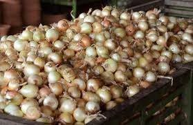 Productores de cebolla bajan precios y son citados por ACODECO