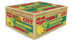 Compañía «Del Monte» reactivará Bananera en Barú.